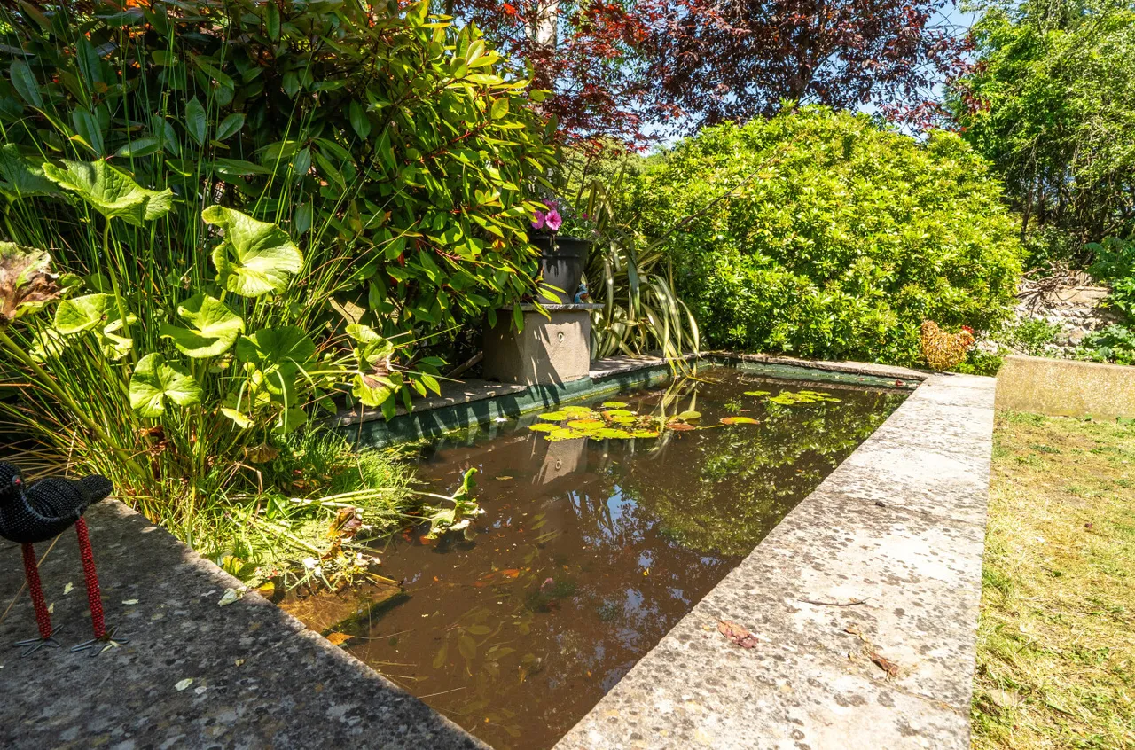 Clermont Road, Brighton, BN1, photo 31