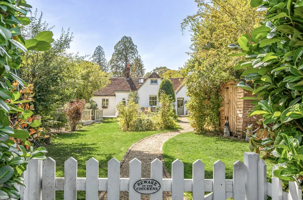 Swife Lane, Broad Oak, TN21, photo 18