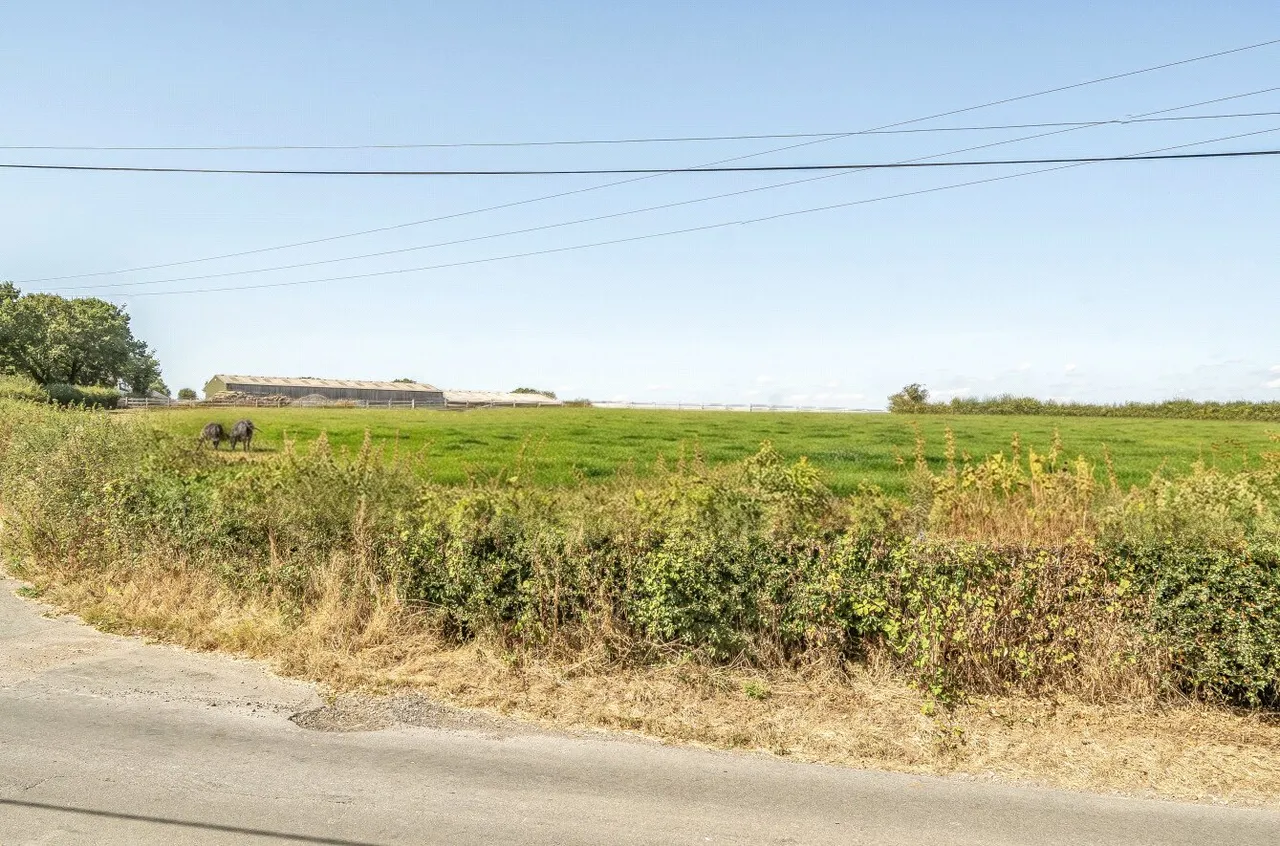 Swife Lane, Broad Oak, TN21, photo 24