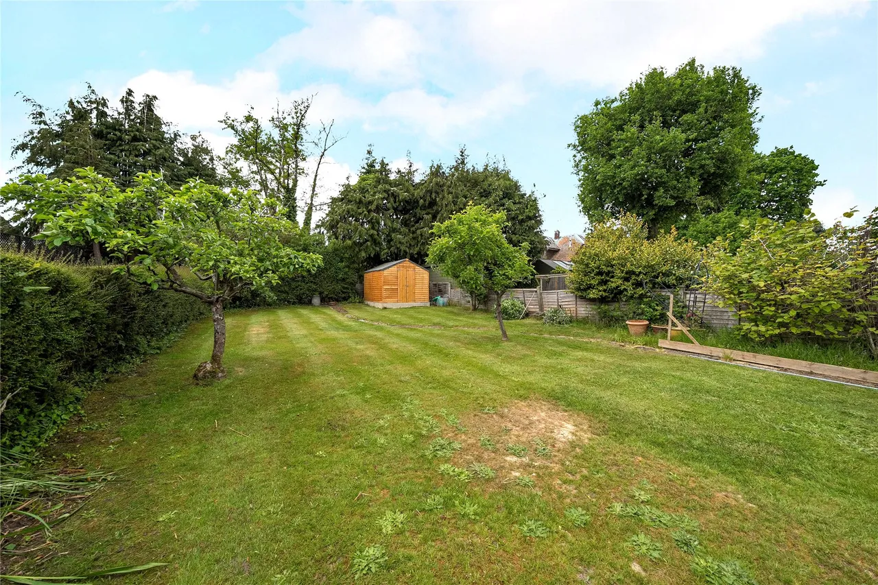 Stringhams Copse, Ripley, GU23, photo 17