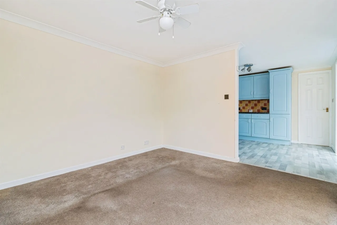Totnes Road, Paignton, TQ4, photo 19