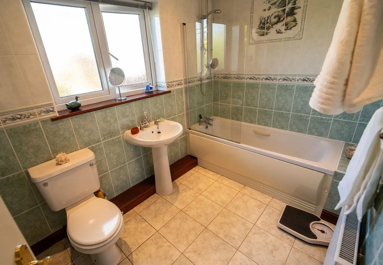 Clos Winifred, Borth, SY24, photo 18