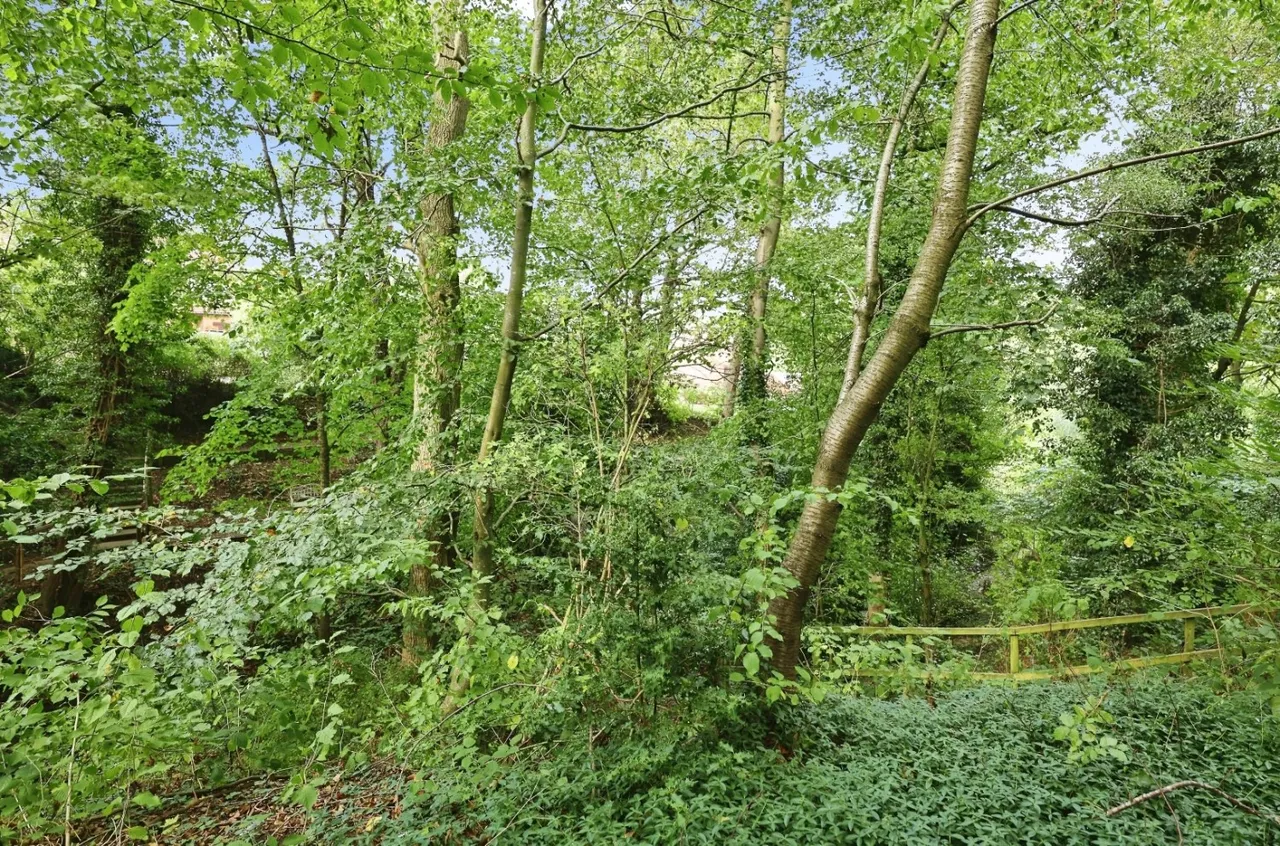 The Dell, Bishop Auckland, DL14, photo 38