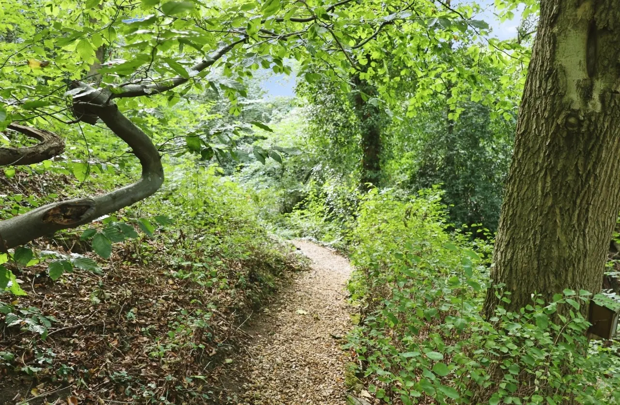 The Dell, Bishop Auckland, DL14, photo 43