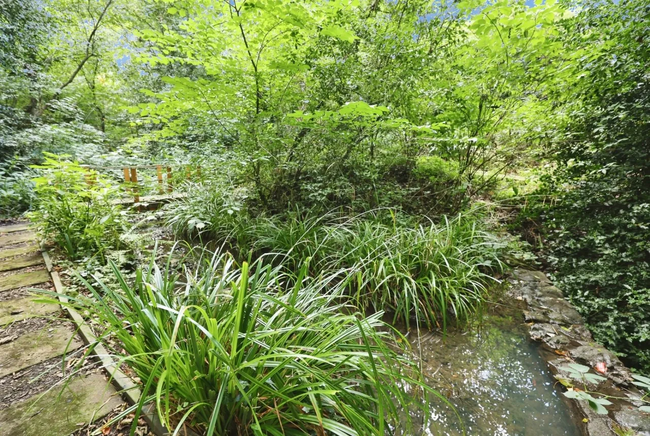 The Dell, Bishop Auckland, DL14, photo 47