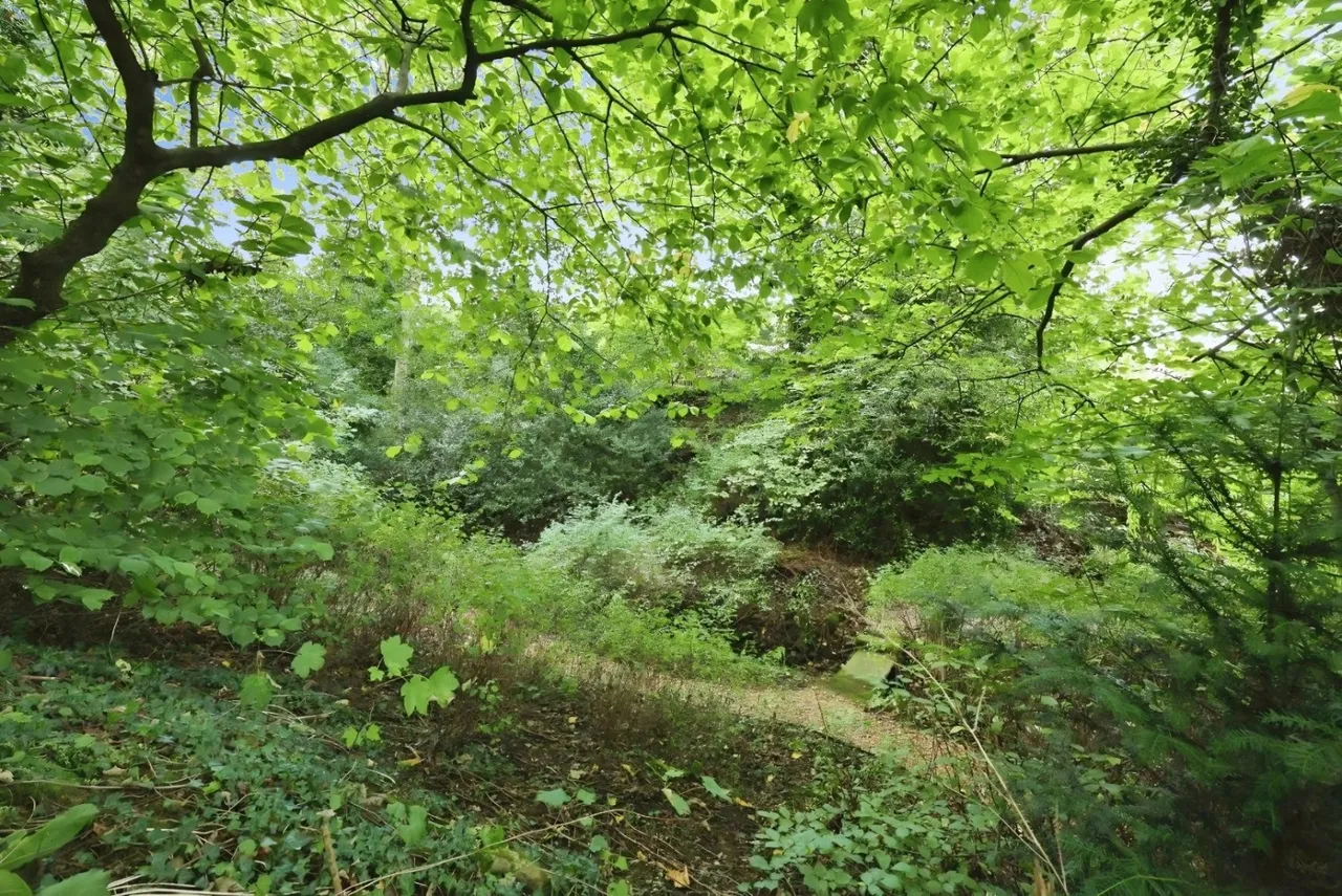 The Dell, Bishop Auckland, DL14, photo 39