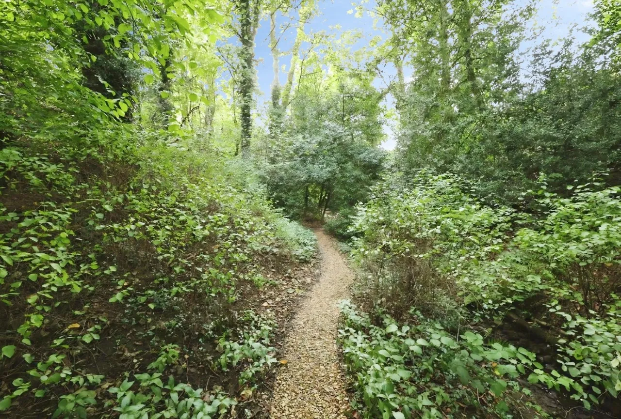 The Dell, Bishop Auckland, DL14, photo 37