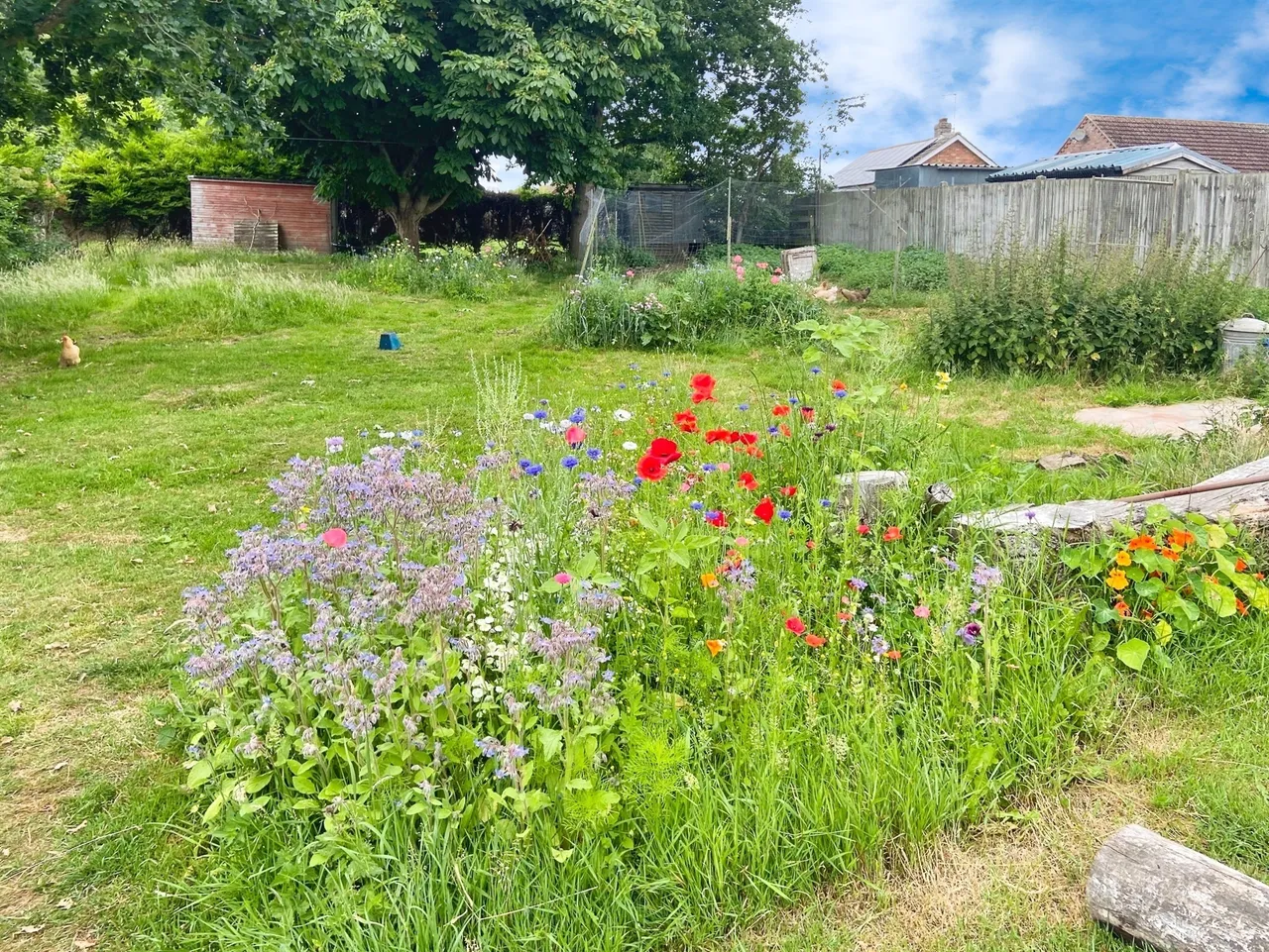 Court Road, Rollesby, Great Yarmouth, photo 5