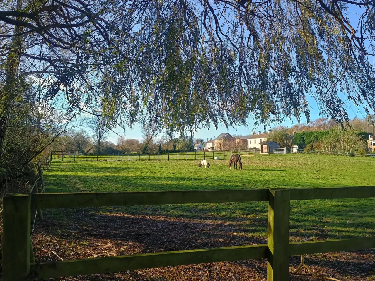 The Bank, Somersham, PE28, photo 4