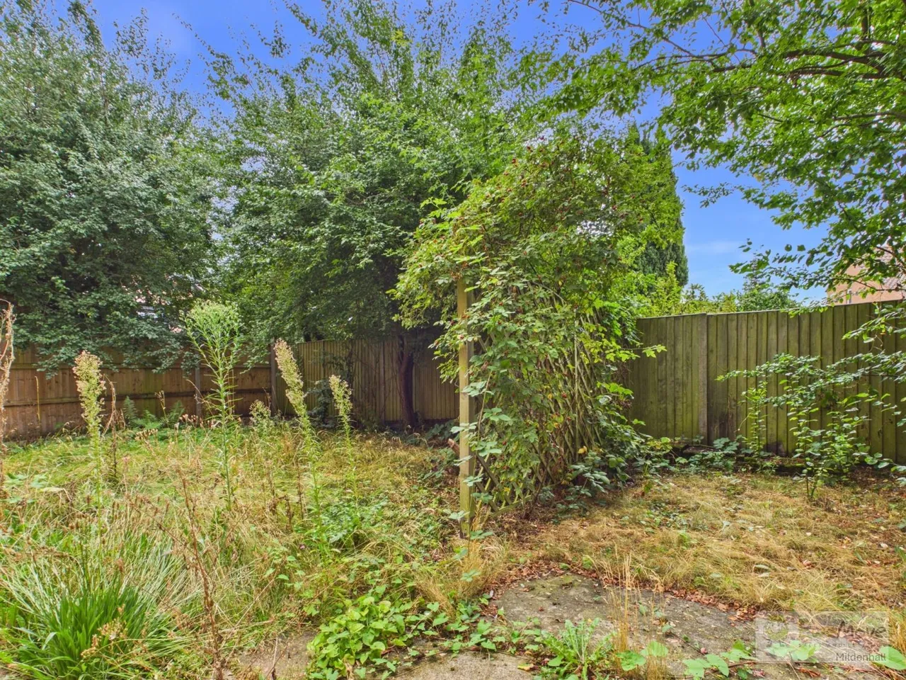 West Hall Road, Mundford, IP26, photo 4