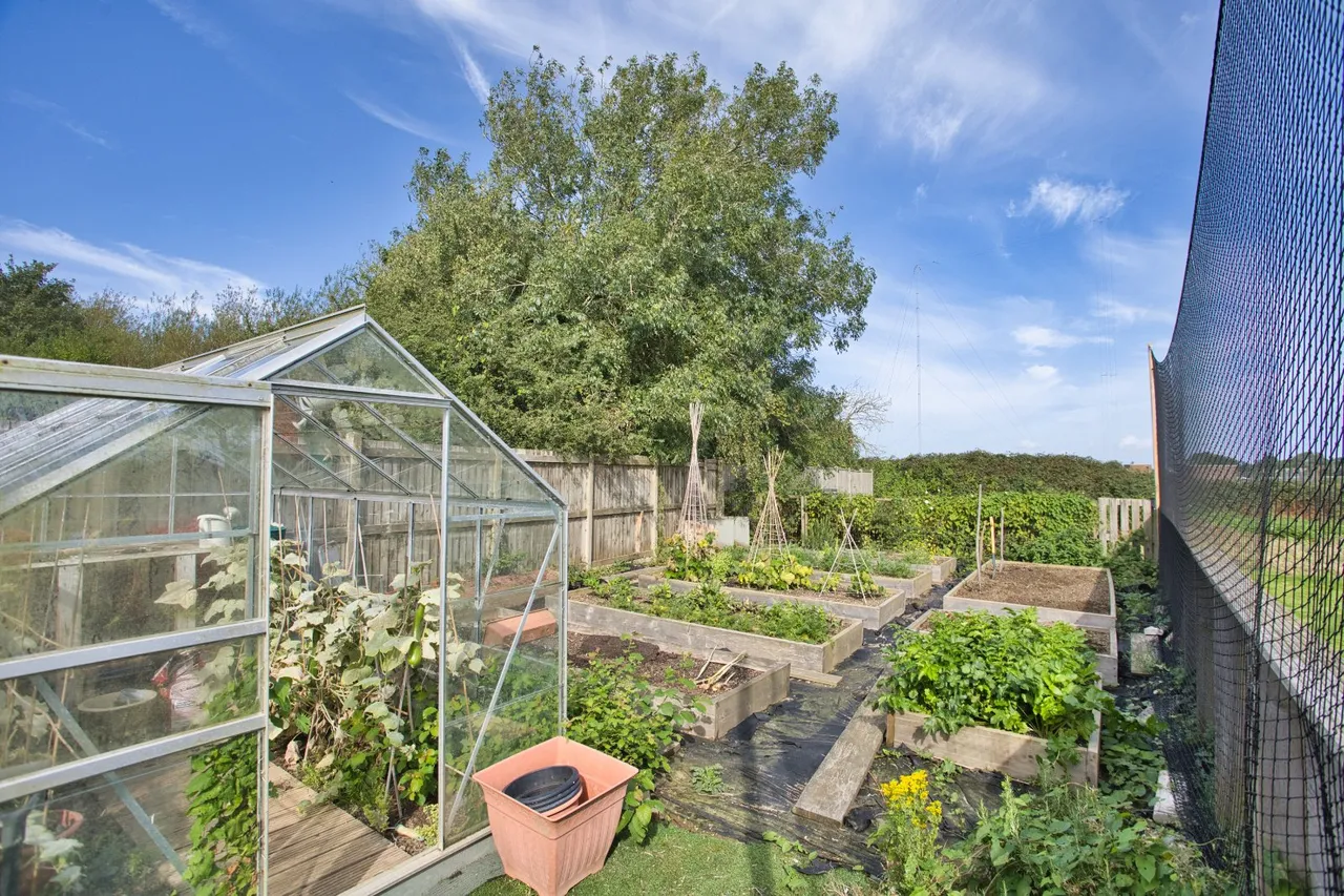 Winehouse Lane, Capel-le-Ferne, CT18, photo 18