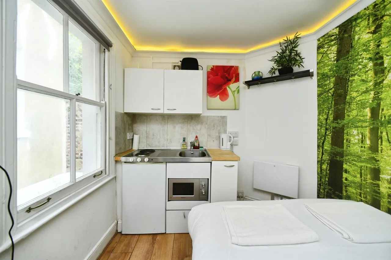 Chesham Road, Brighton, BN2, photo 7