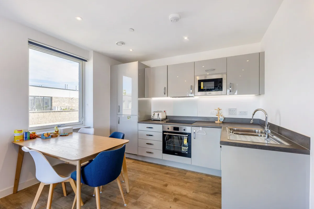 Ardisia Mews, London, E7, photo 3