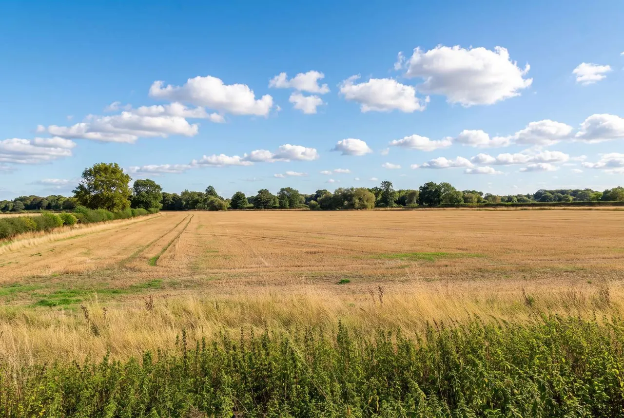 Ellerton Hill, Ellerton upon Swale, DL10, photo 21