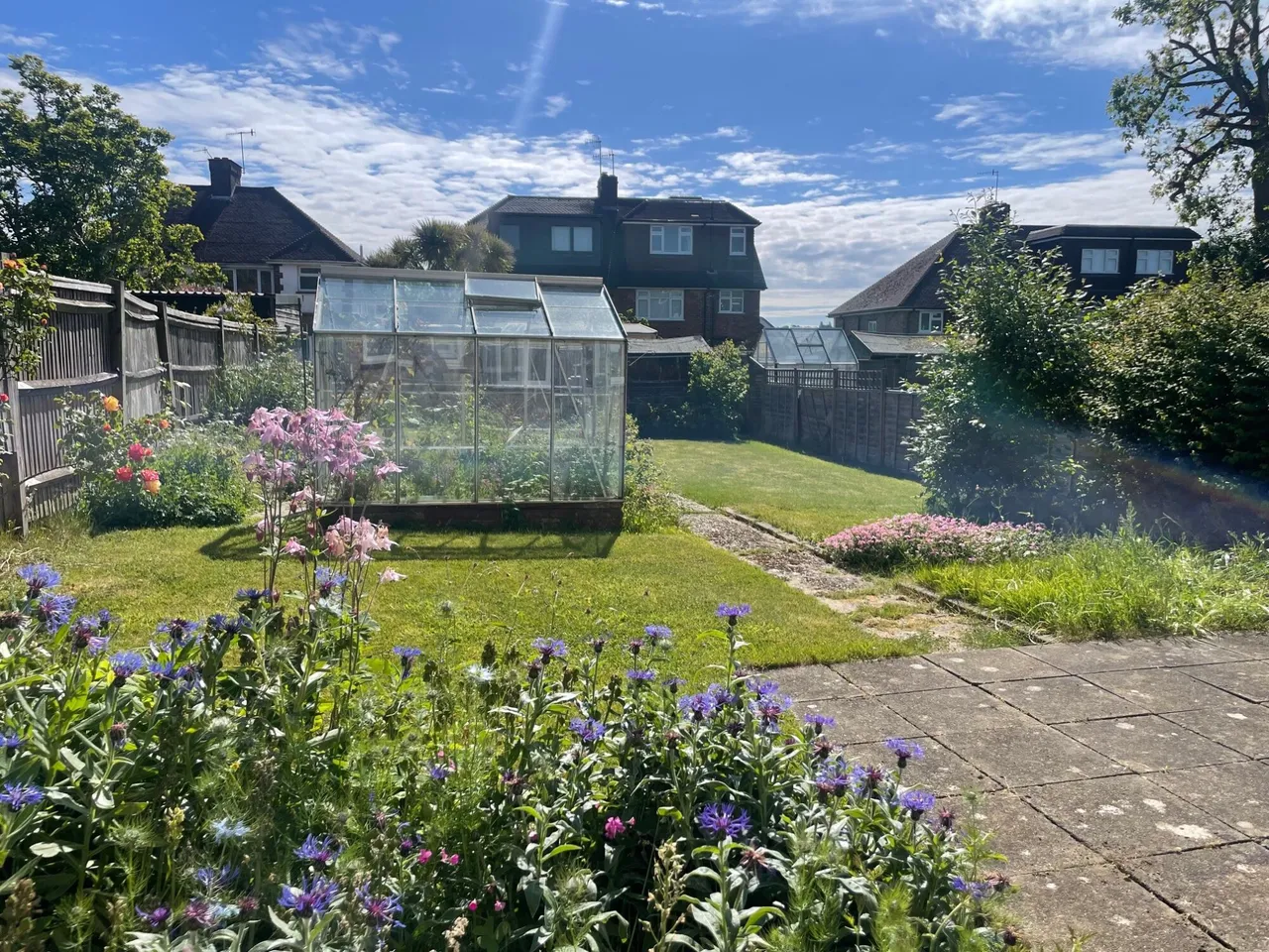 Wilman Road, Tunbridge Wells, Kent, TN4 9AP, photo 12