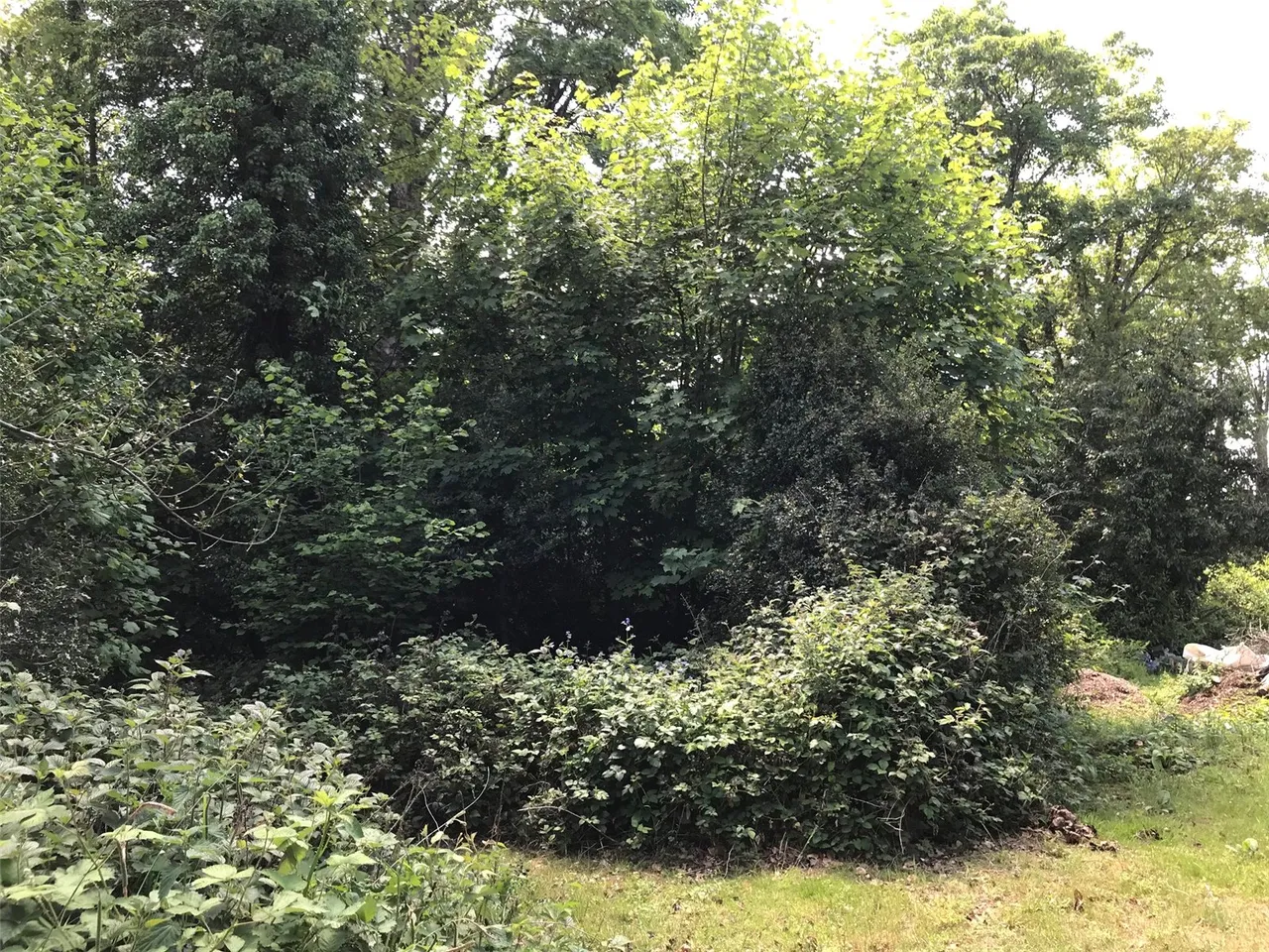 St. Catherines Road, Frimley Green, Camberley, Surrey, GU16 6PY, photo 7