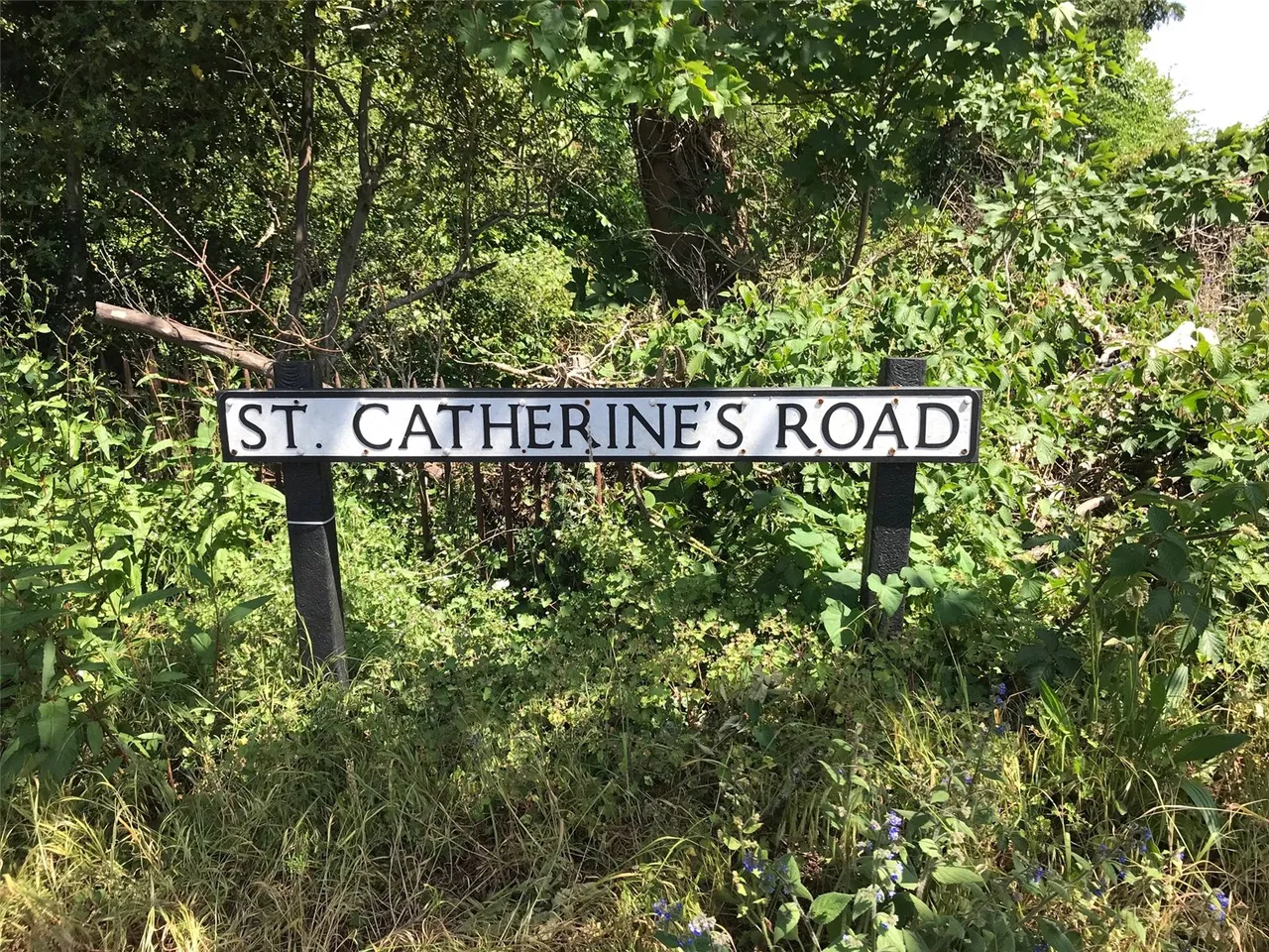 St. Catherines Road, Frimley Green, Camberley, Surrey, GU16 6PY, photo 12
