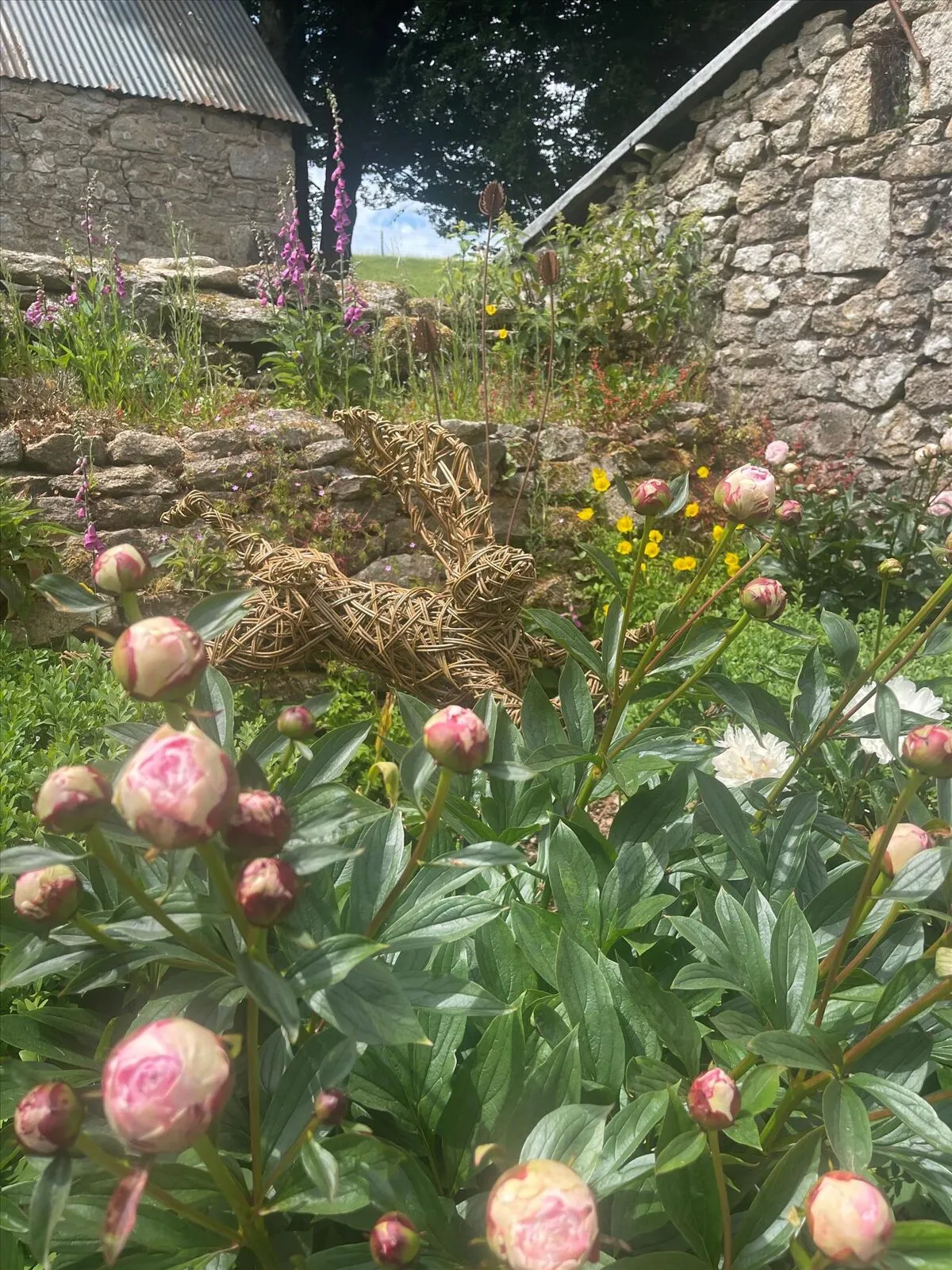 Chagford, TQ13, photo 30