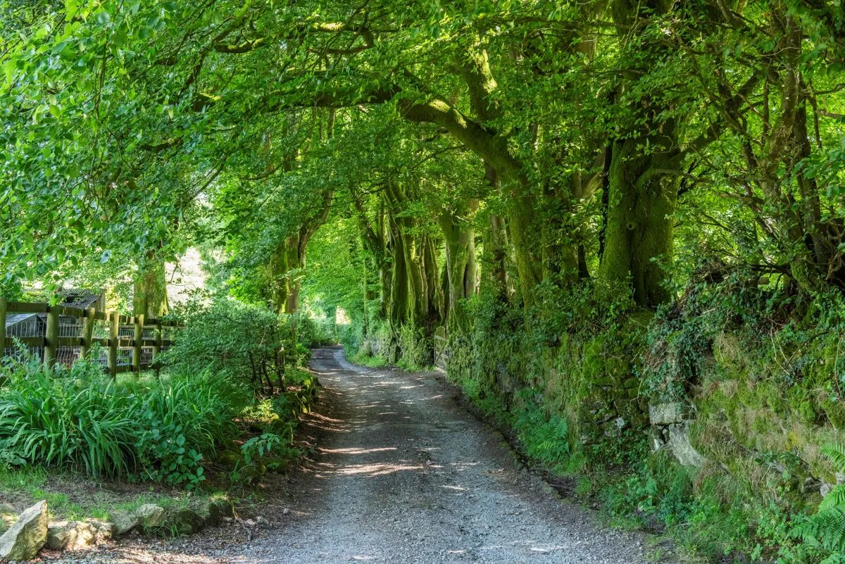 Chagford, TQ13, photo 33