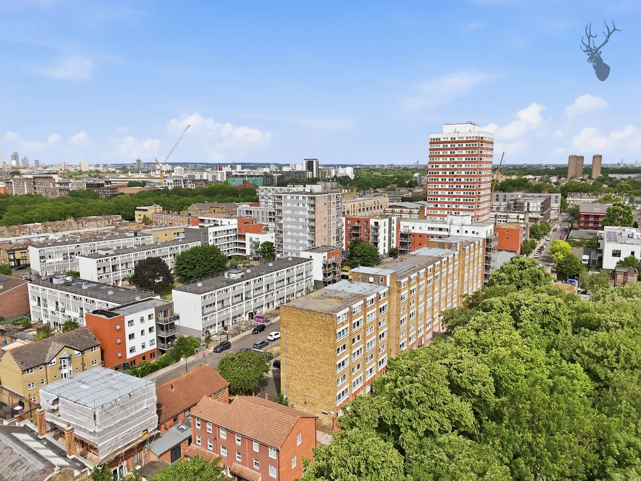 Southern Grove, London, E3, photo 16