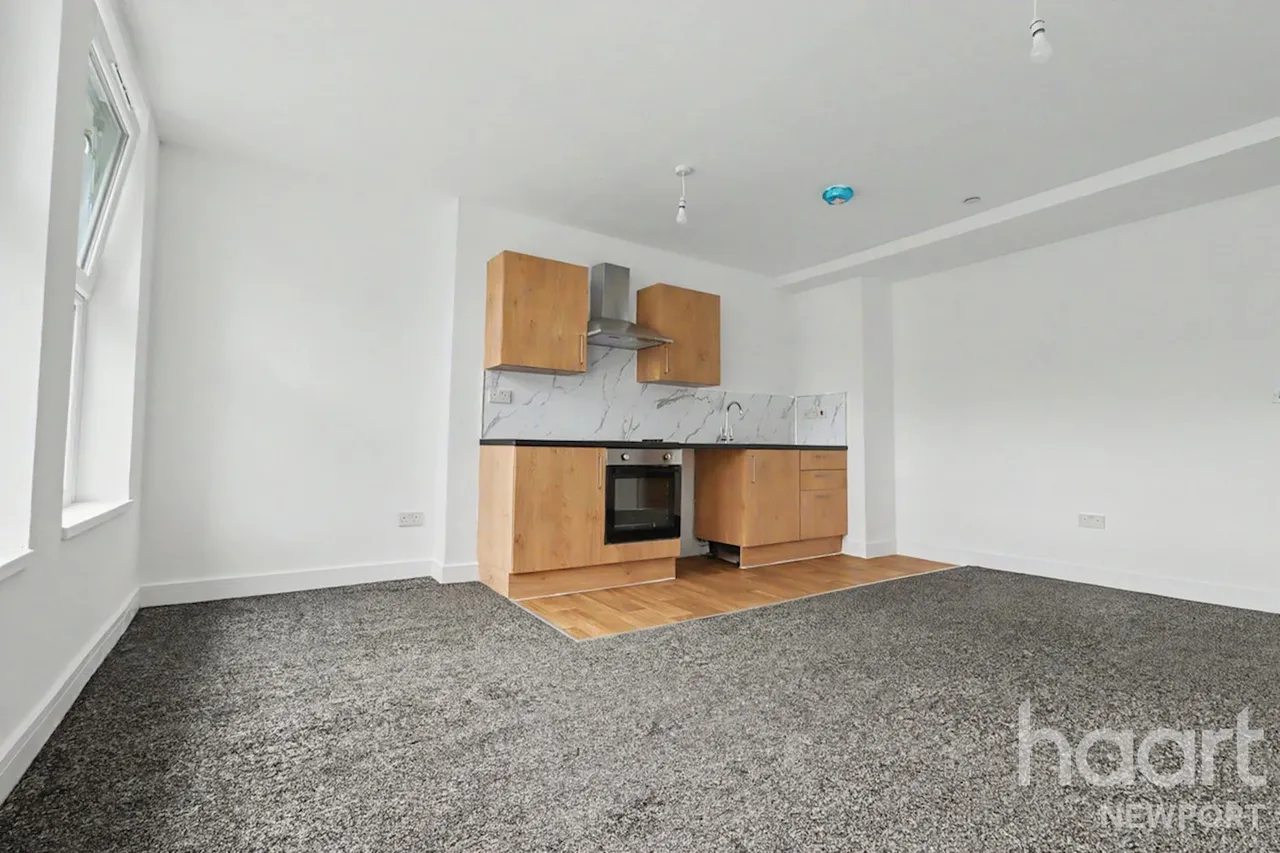 Commercial Street, NP20, photo 3