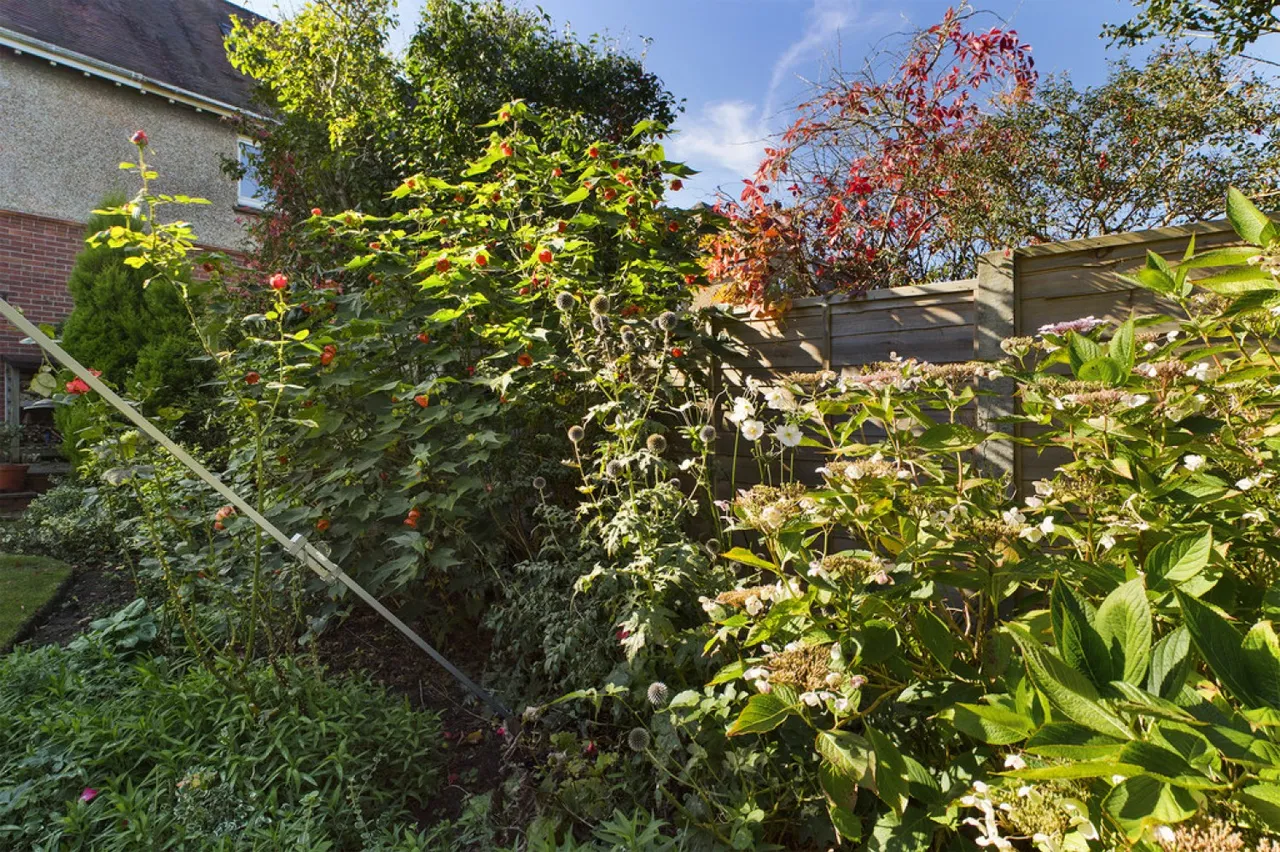 Broadfield Road, Folkestone, CT20, photo 10