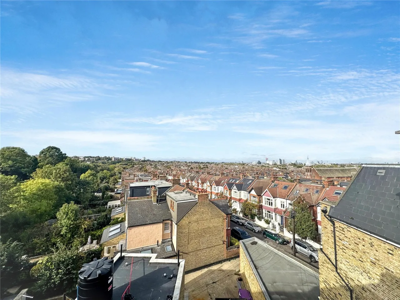 Arthur Road, Wimbledon Park, photo 12