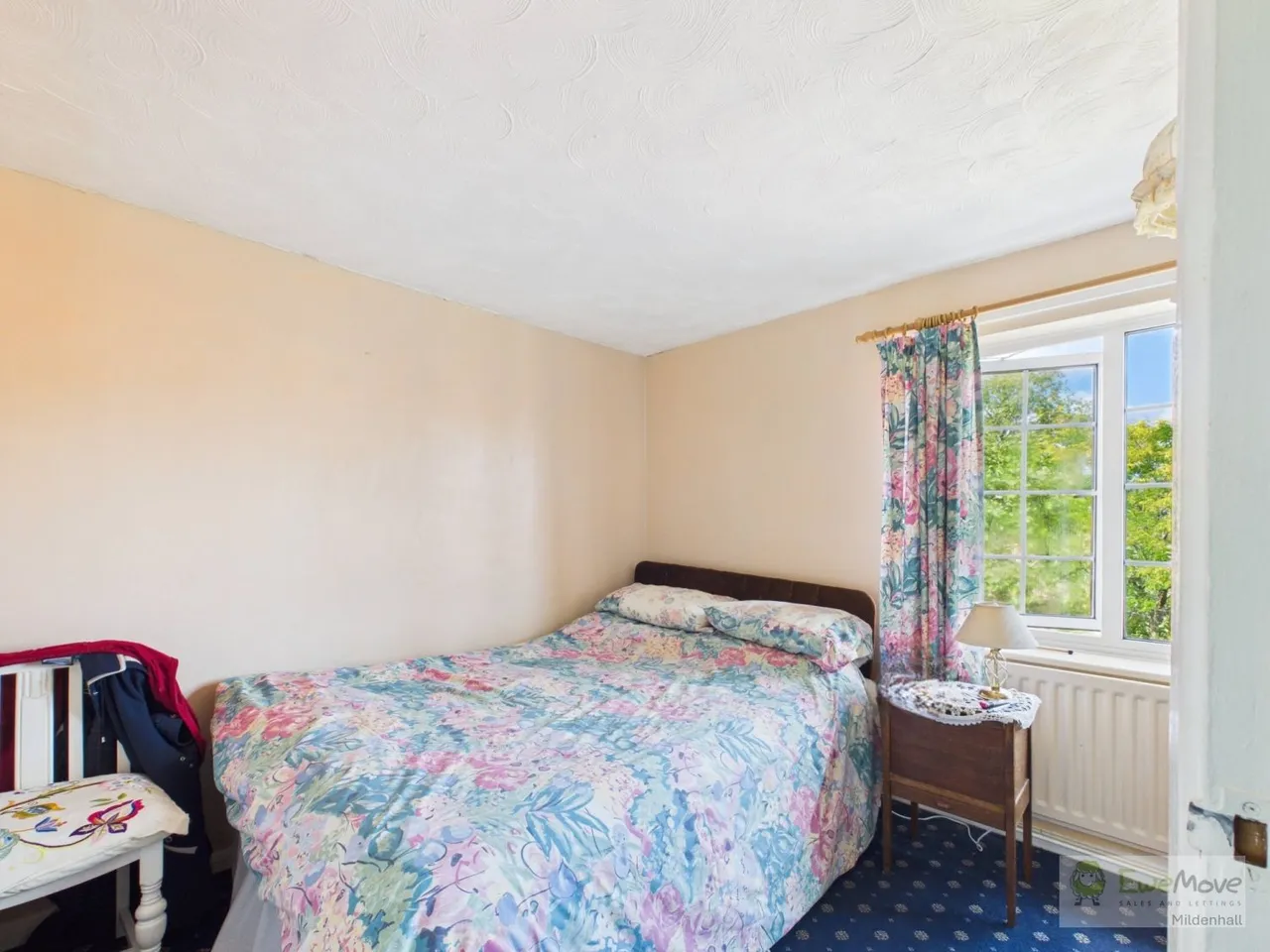 High Street, Feltwell, IP26, photo 19