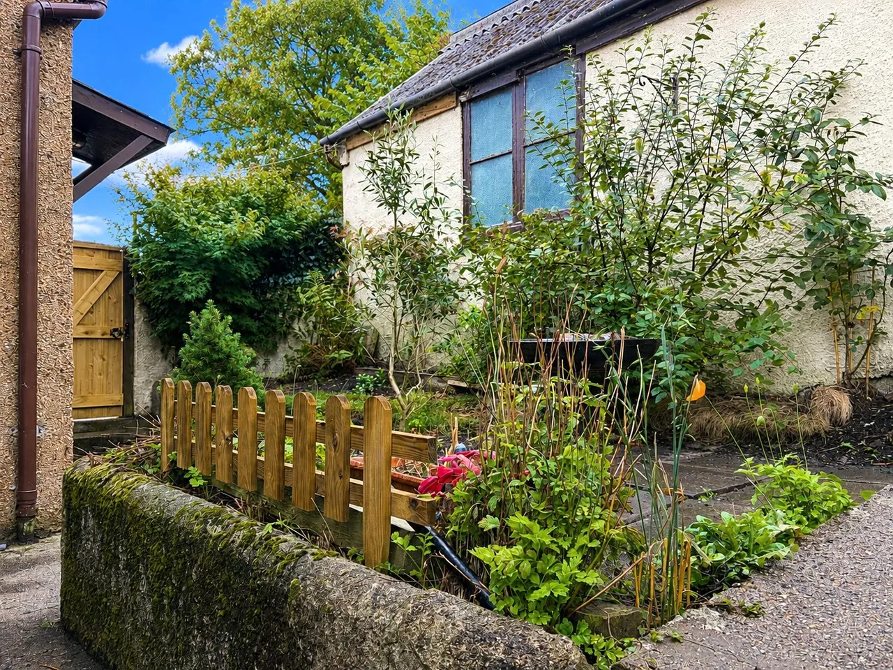 Alexandra Terrace, Launceston, PL15, photo 3