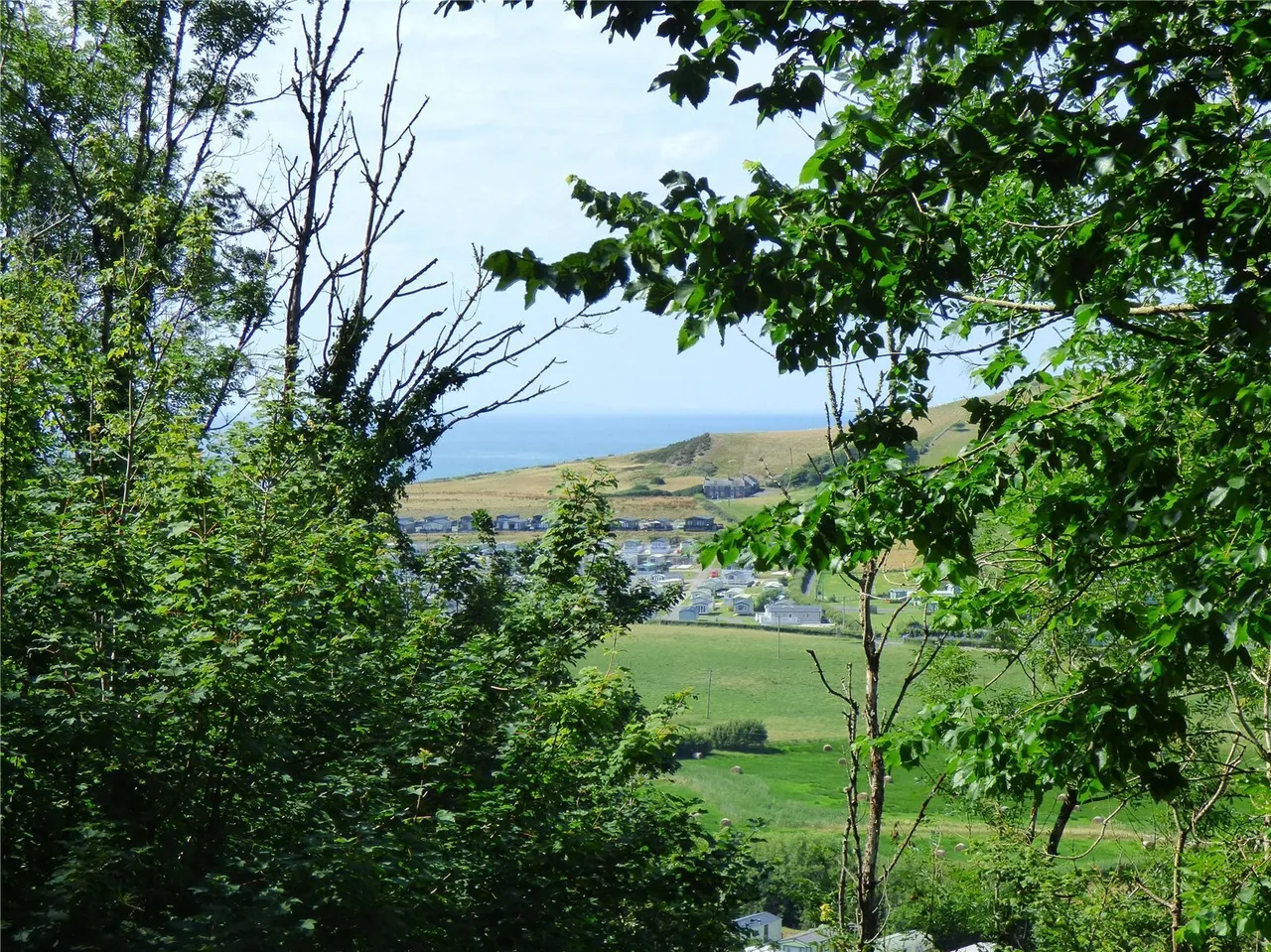 Alltglais, Clarach, SY23, photo 6