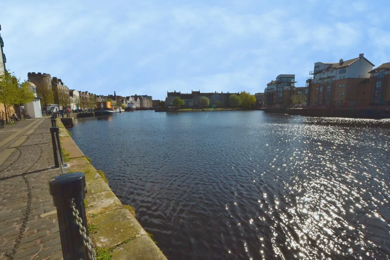Ocean Drive, Edinburgh, EH6, photo 15