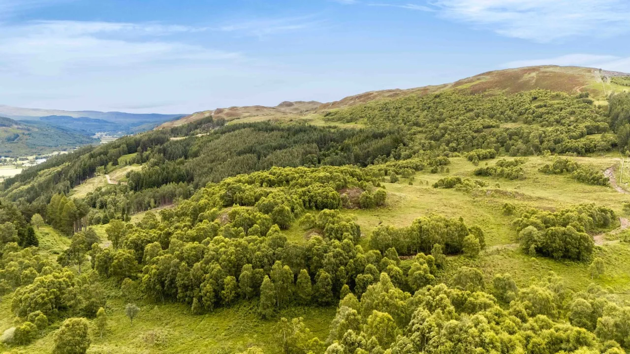 Mauld Estate, Struy, Beauly, Inverness-Shire, IV4 7NE, photo 4