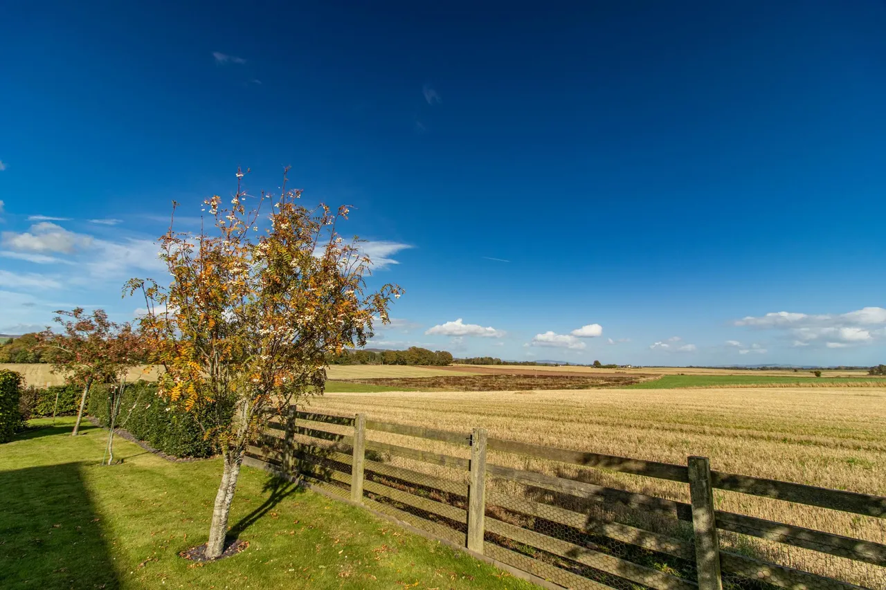 Peathill Steadings, Careston, DD9, photo 37