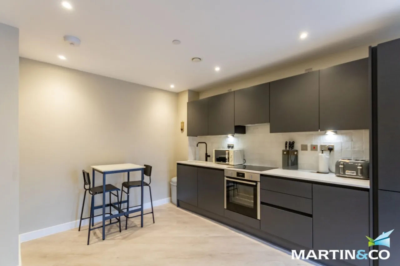 Alcester Street, Digbeth, B12, photo 3