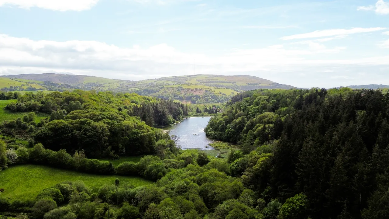 Mynydd Llan, Babell, CH8, photo 21