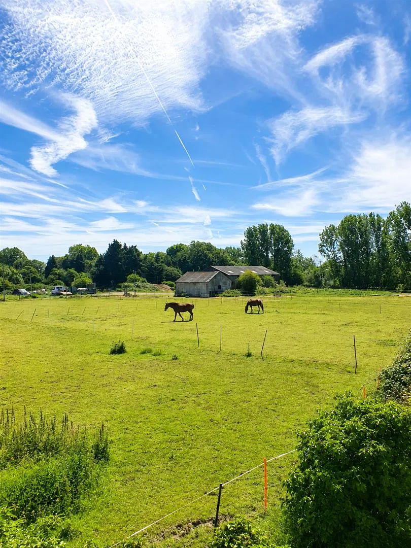 Dover Road, Sandwich, Kent, CT13 0DD, photo 15