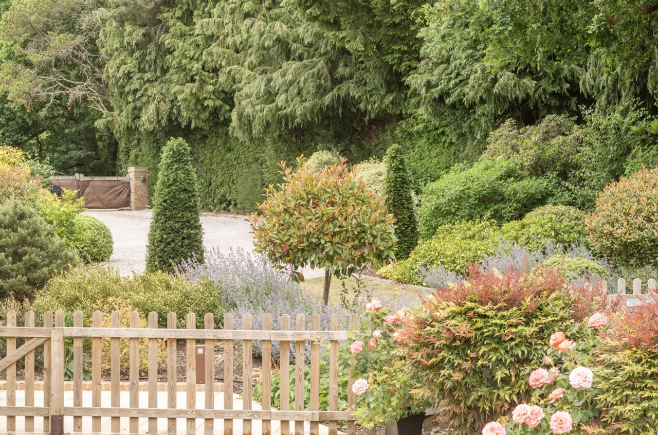 Minsted, Midhurst, GU29, photo 38