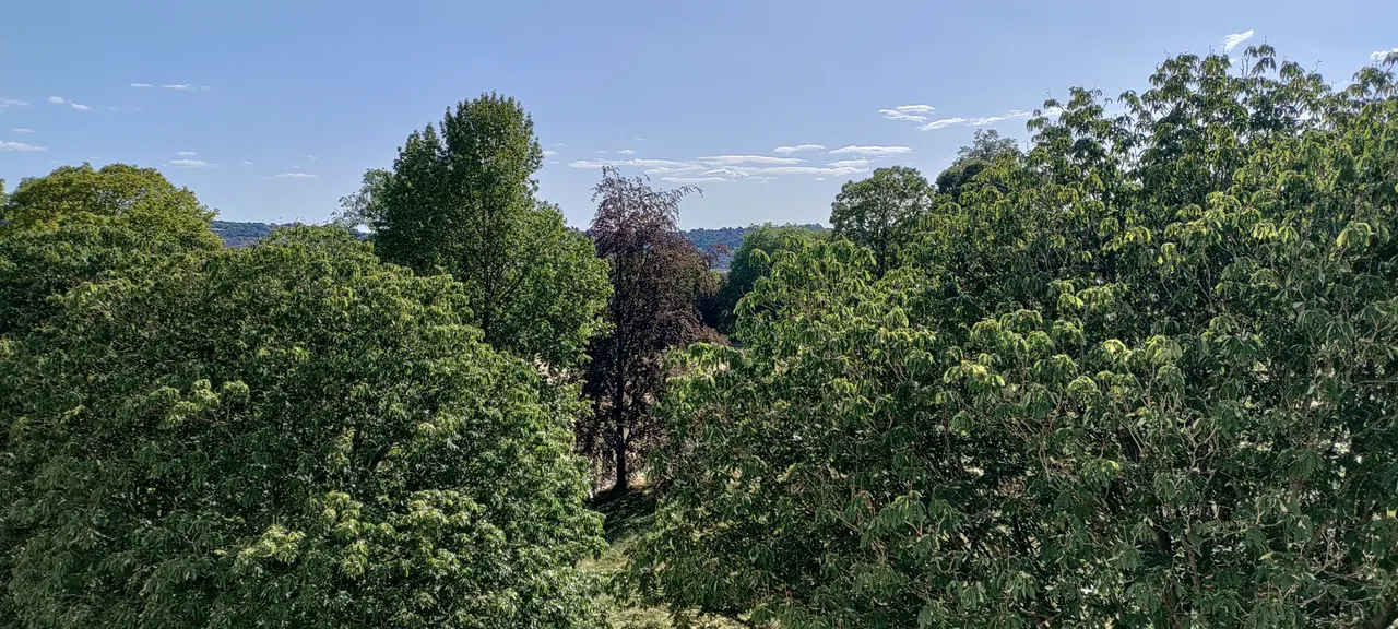 Cavendish Place, Bath, BA1, photo 8