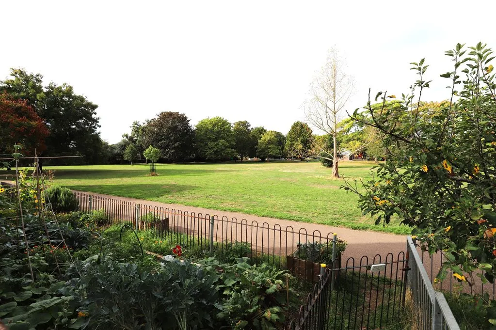 Nelson Road, Exeter, photo 11