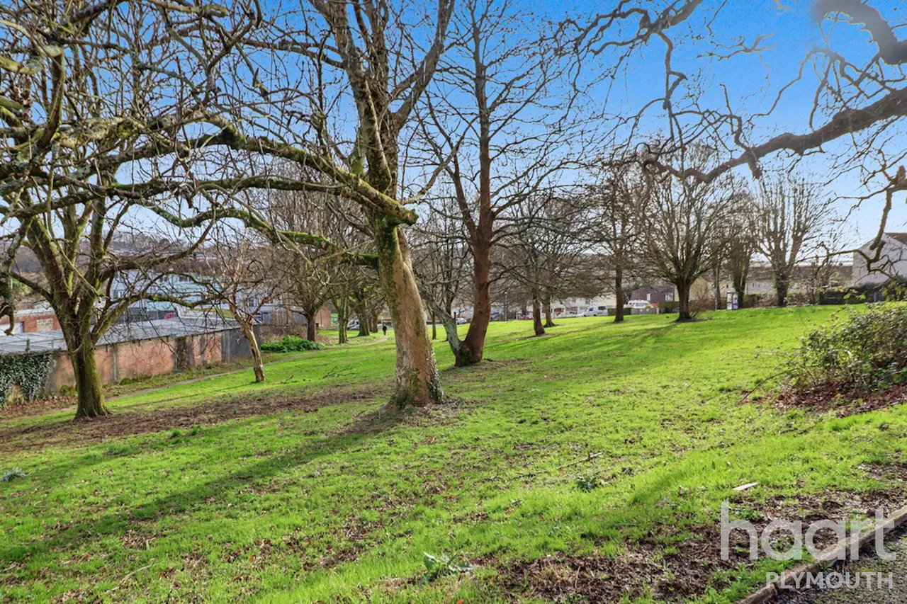 Chaucer Way, Plymouth, PL5, photo 16