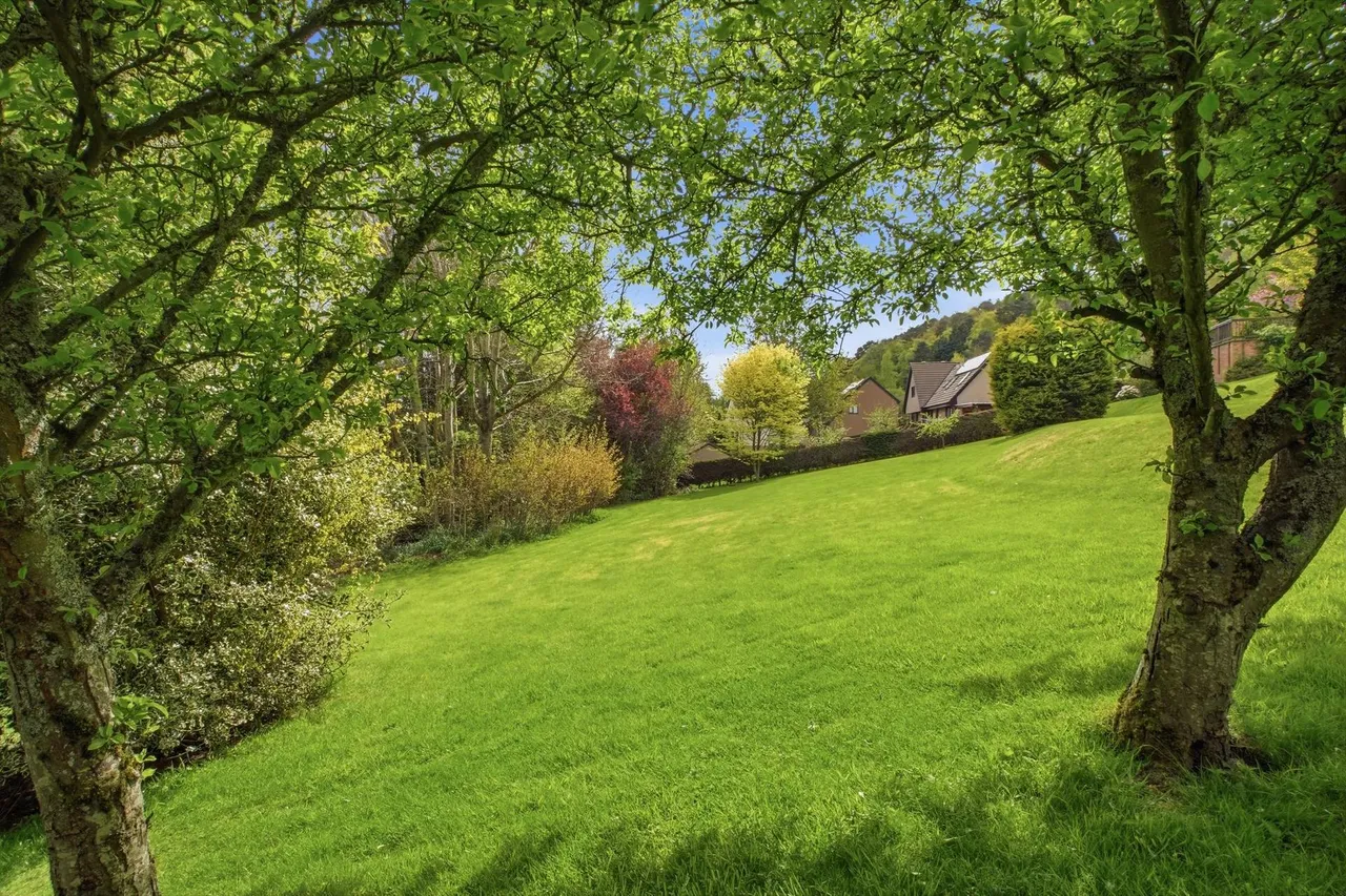 St. Ronan's Terrace, Innerleithen, EH44, photo 37