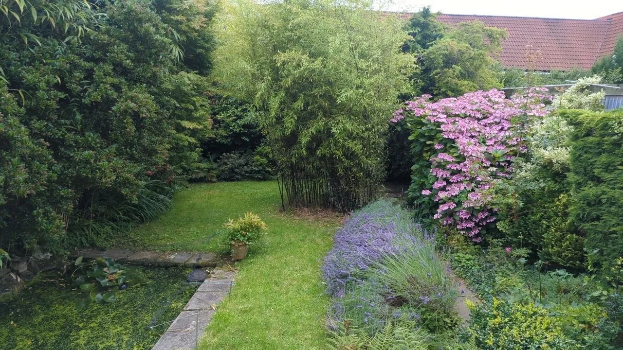 Westacre Close, Cheddar, BS27, photo 19