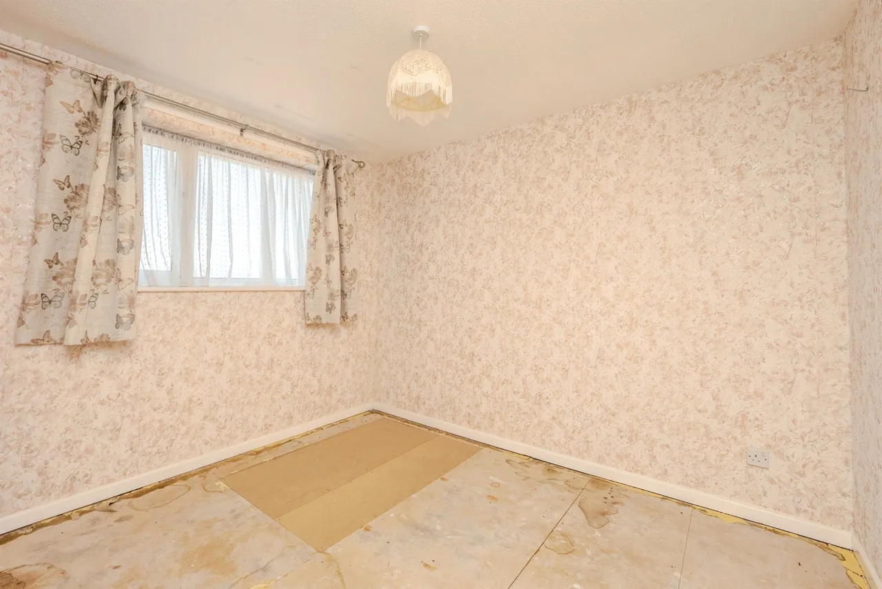 Rip Croft, Portland, DT5, photo 7