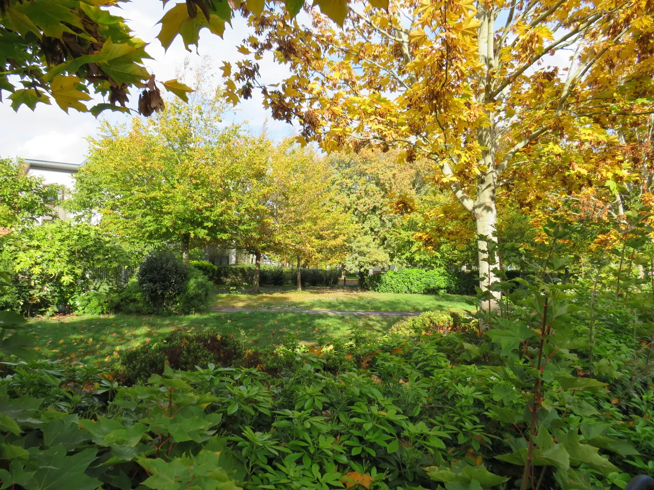 Elder Road, Rooksdown, RG24, photo 9