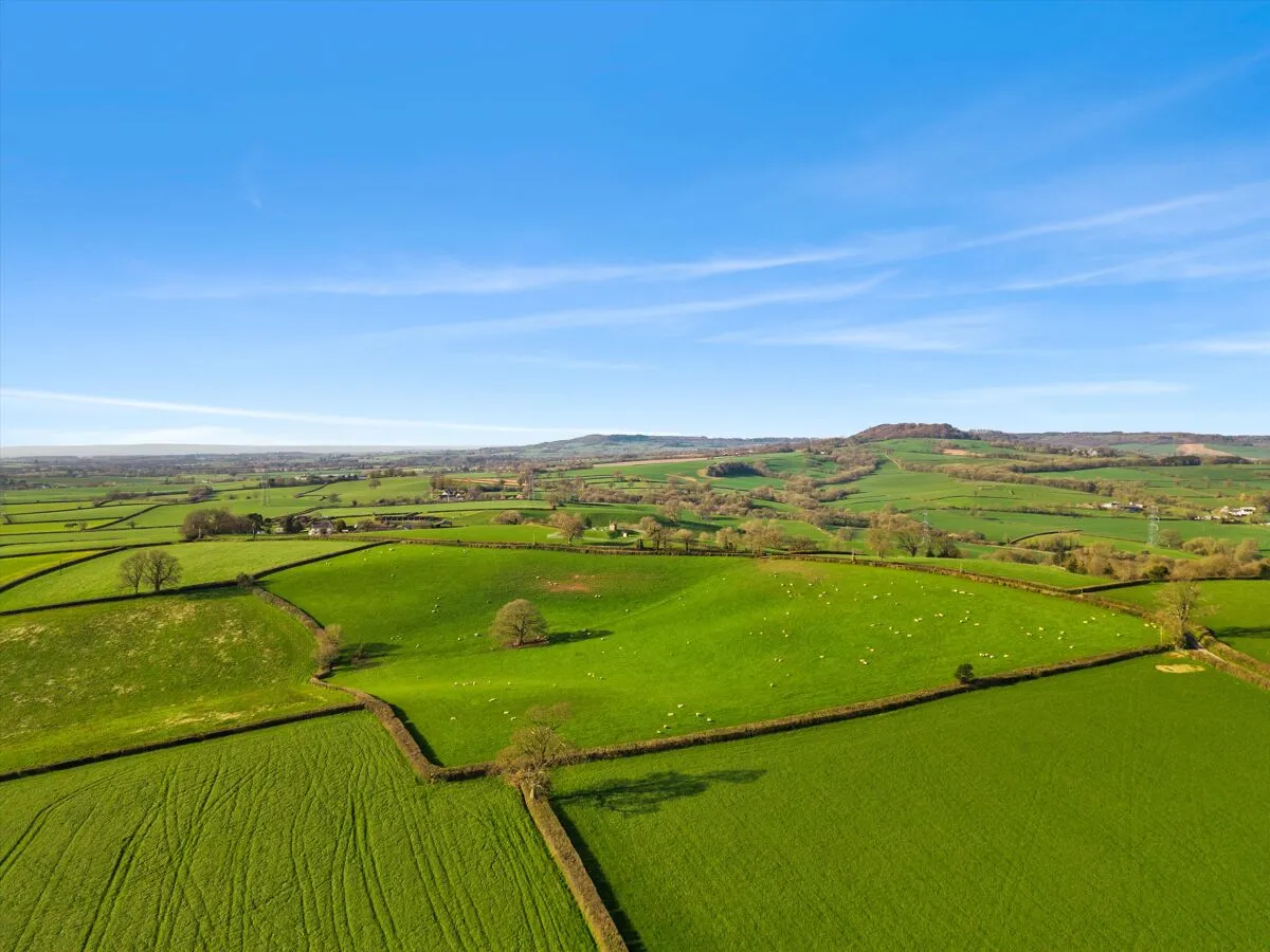 Feniton, Honiton, EX14, photo 11