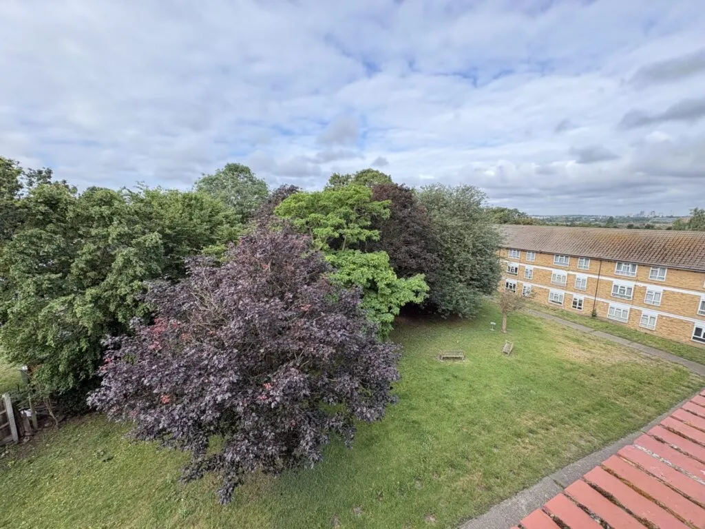 Tattersall Close - Eltham - London - SE9, photo 4
