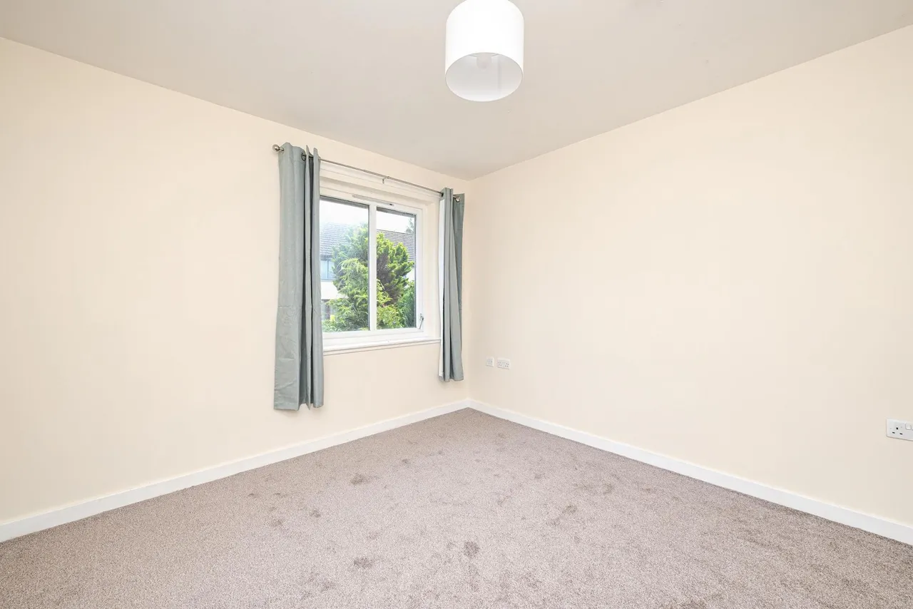 Castlepark Glade, Edinburgh, EH16, photo 15