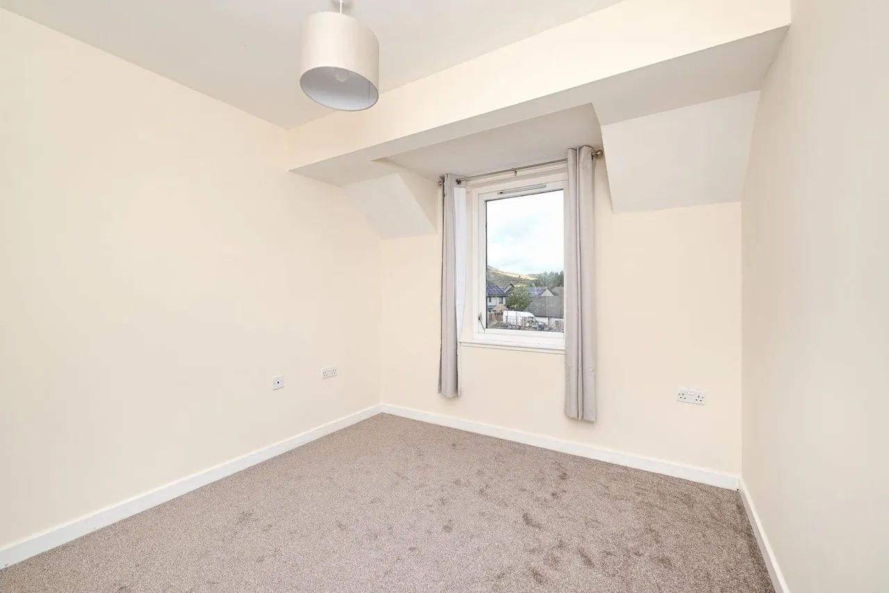Castlepark Glade, Edinburgh, EH16, photo 21