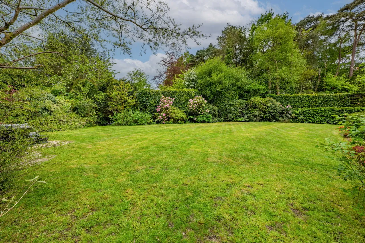 Badgers Close, Crowborough, TN6, photo 19