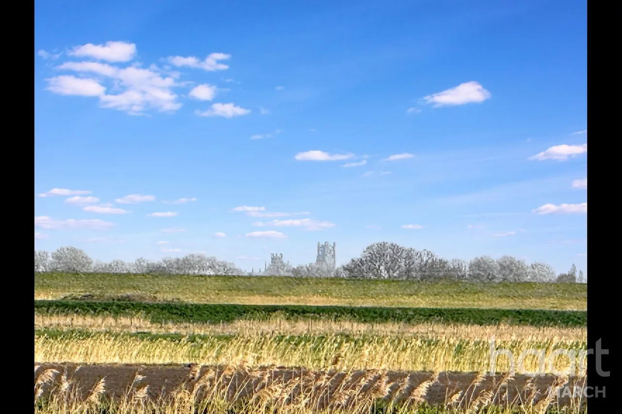 Fallow Corner Drove, Manea, PE15, photo 17